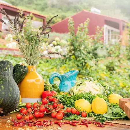 מלון Yeotown Madeira Wellness And Nature ארקו דה קלחטה