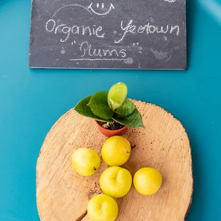 Yeotown Madeira Wellness And Nature