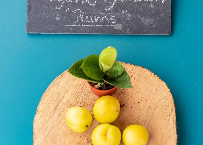 Yeotown Madeira Wellness And Nature