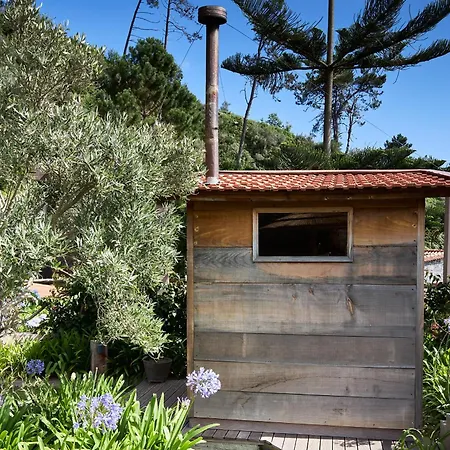 Yeotown Madeira Wellness And Nature فندق