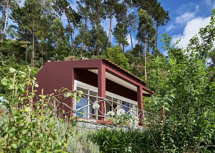 Yeotown Madeira Wellness And Nature