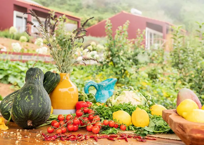 Hotel Yeotown Madeira Wellness And Nature Arco da Calheta (Madeira)