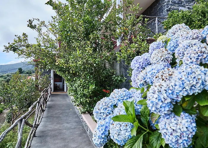 Yeotown Madeira Wellness And Nature Arco da Calheta (Madeira)